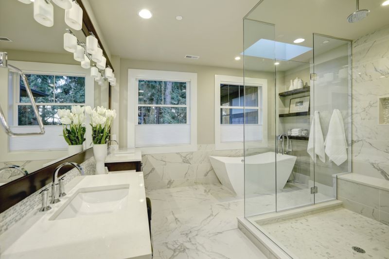 Luxury Shower Remodel